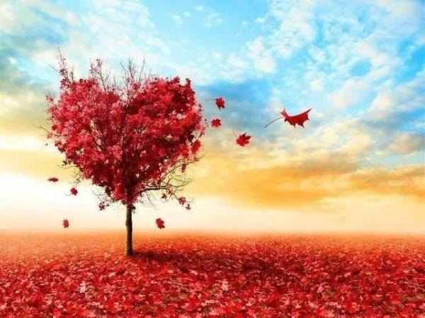 回味美好九月，喜迎輝煌十月